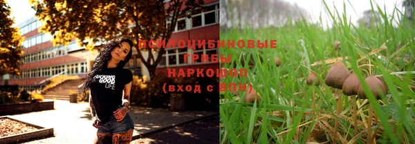 стафф Алексеевка