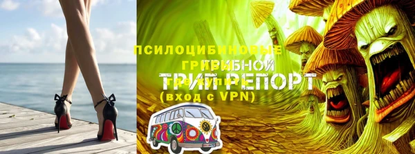 jwh Абаза