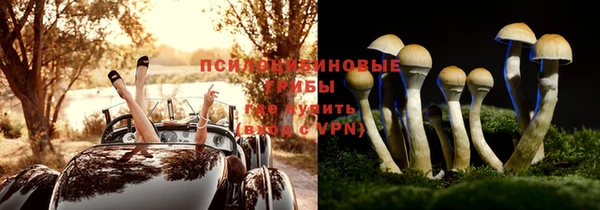 метадон Алзамай