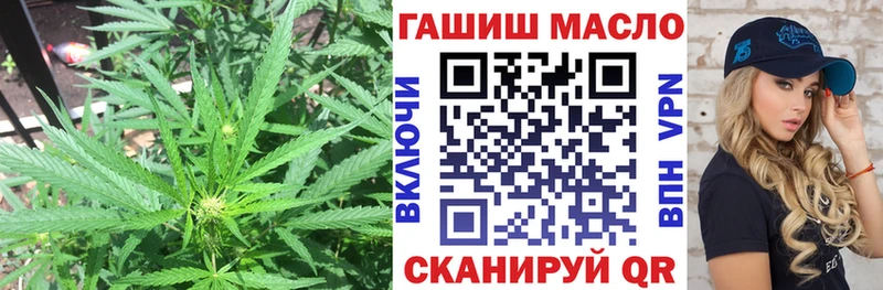 ТГК Wax  Алатырь 