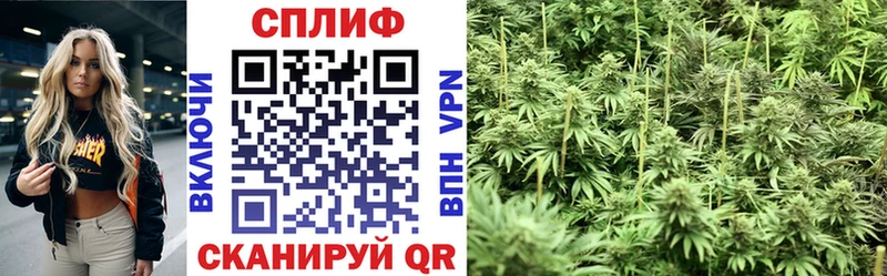 blacksprut ссылки  Алатырь  Канабис ГИДРОПОН 